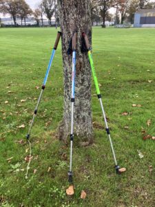 photo marche avec baton dynamiques-page pratiques